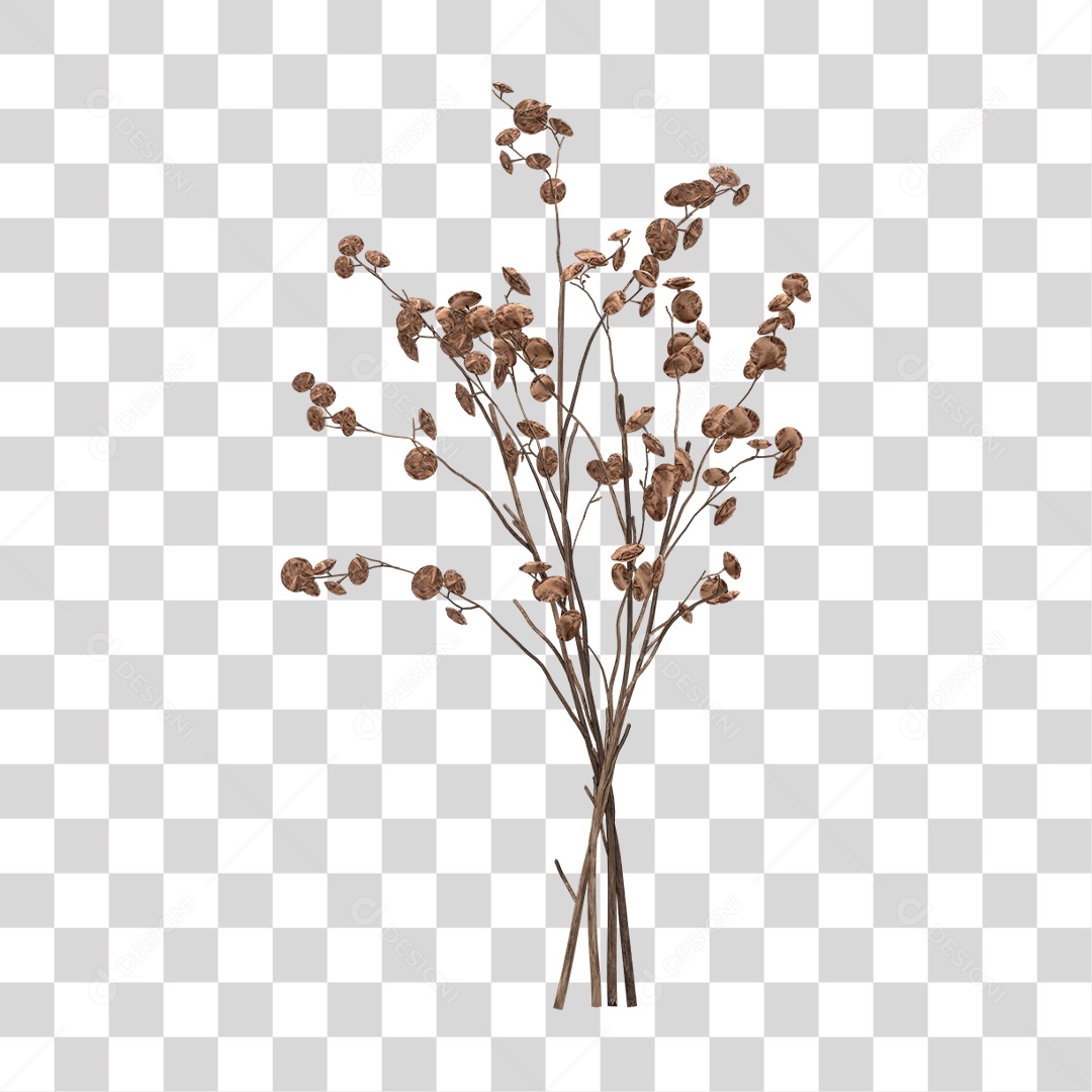 Planta Seca PNG Transparente