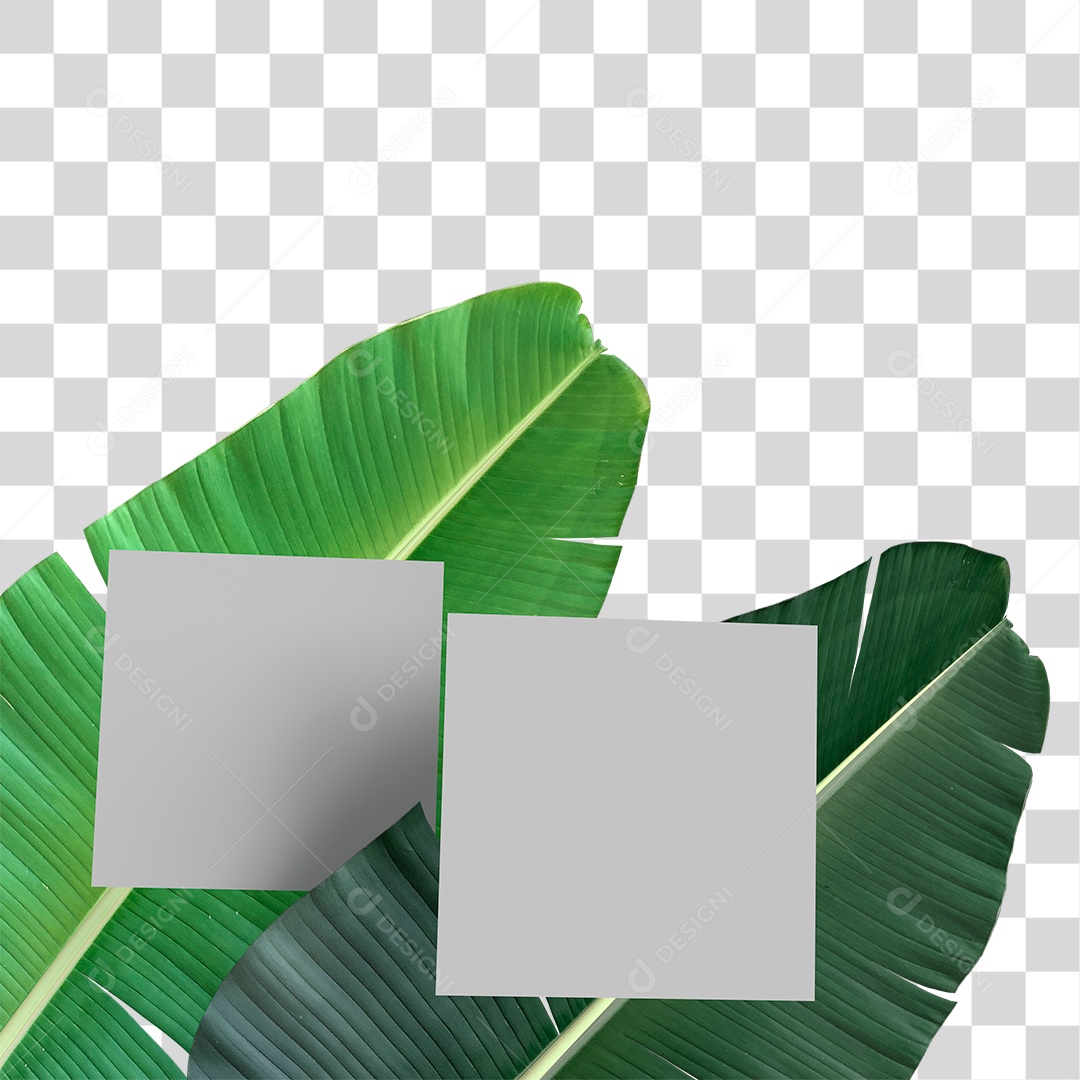 Folha Verde PNG Transparente