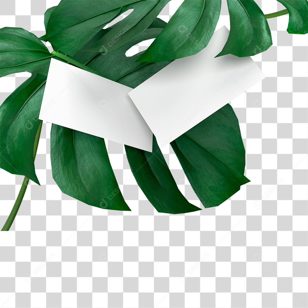 Folha Verde PNG Transparente
