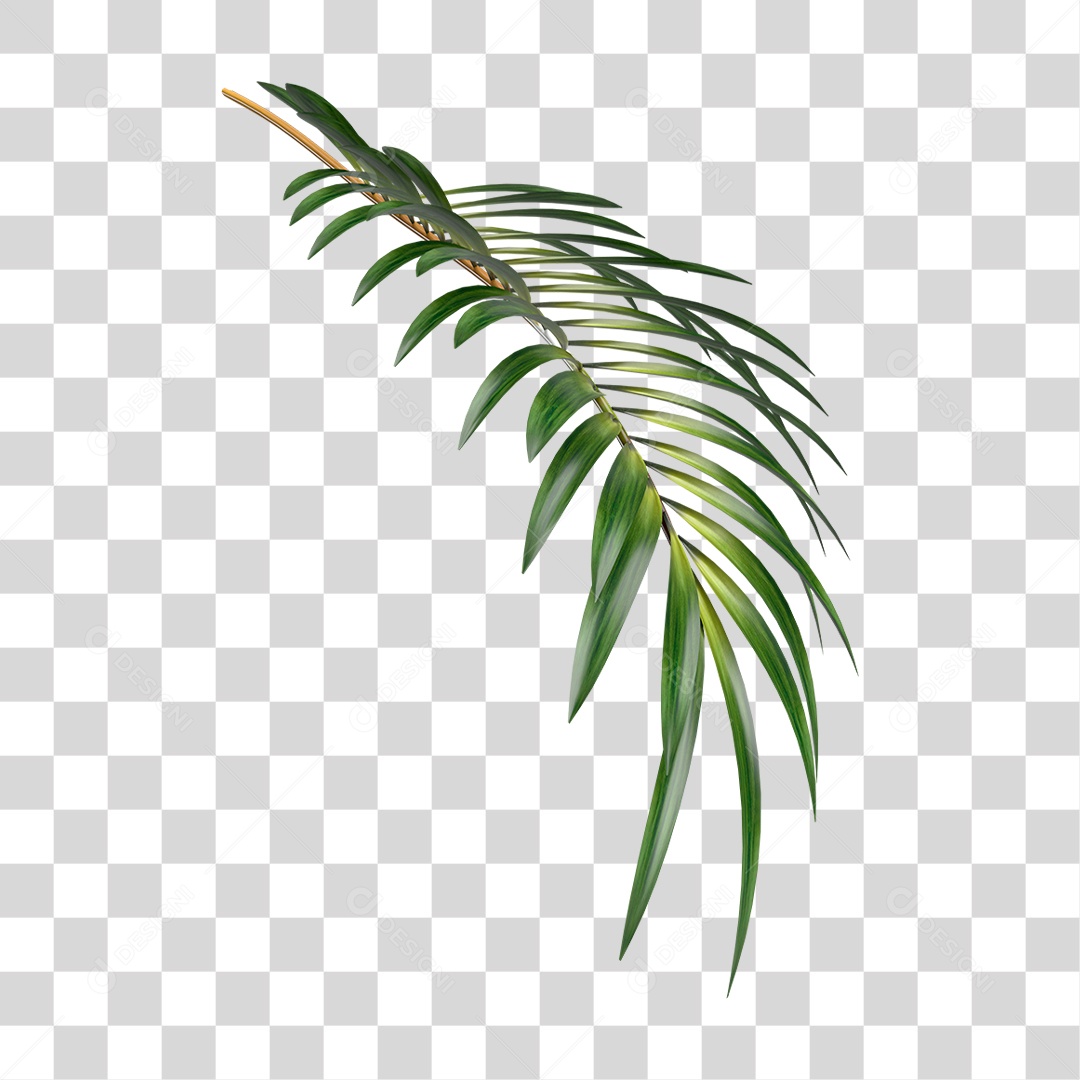 Transparent PNG Straw