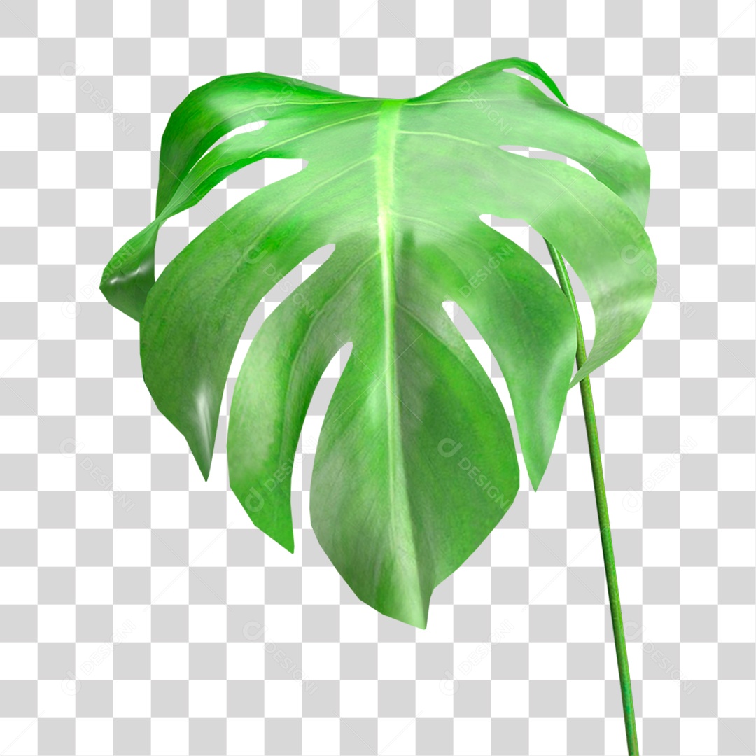 Folha Verde PNG Transparente