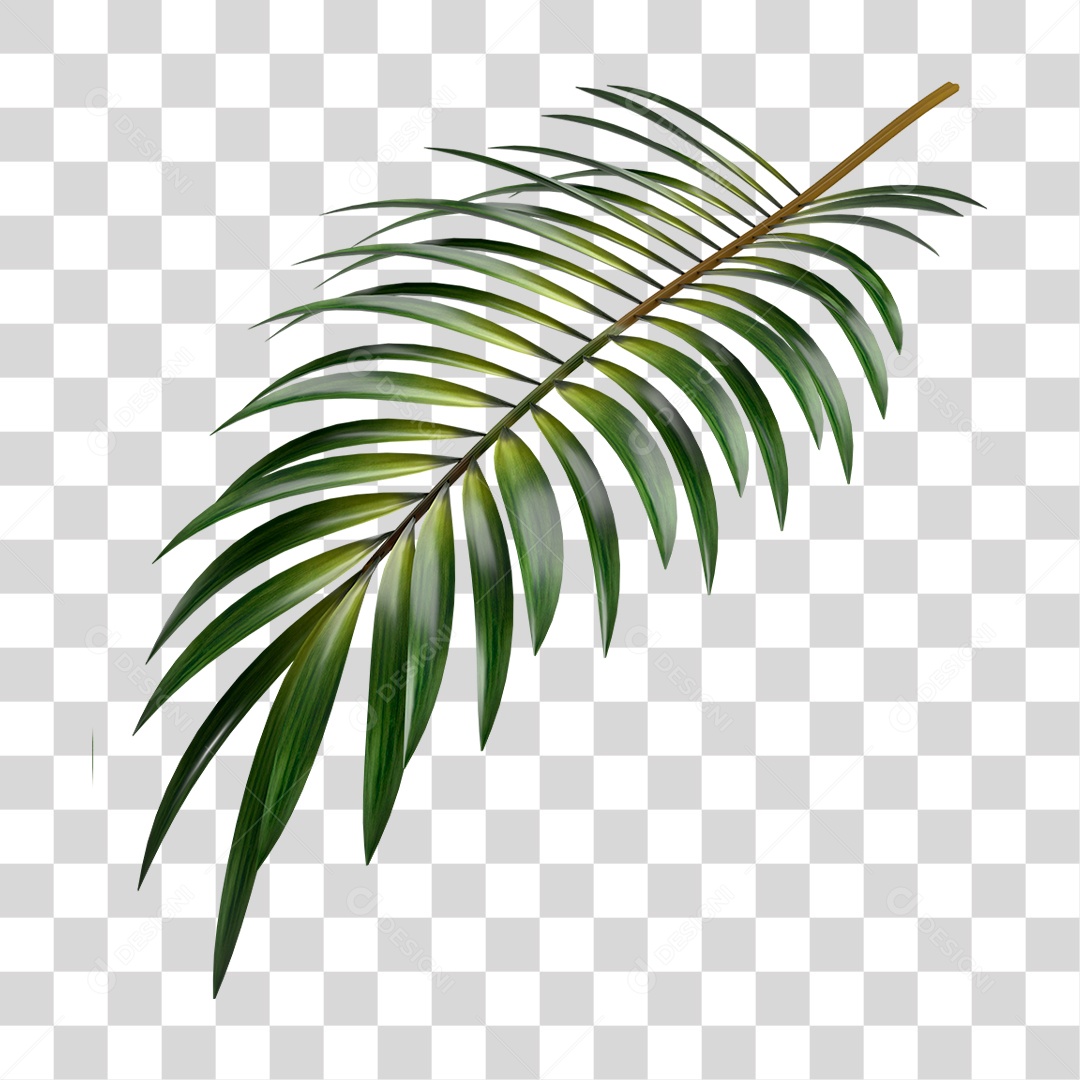 Palha PNG Transparente