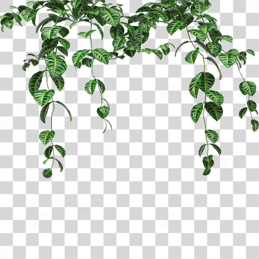 Planta PNG Transparente