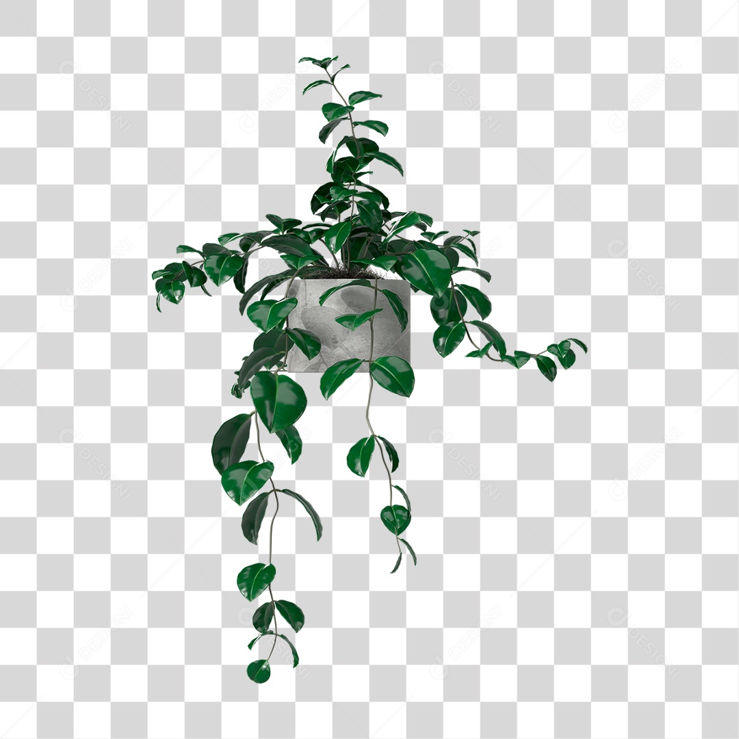 Planta PNG Transparente