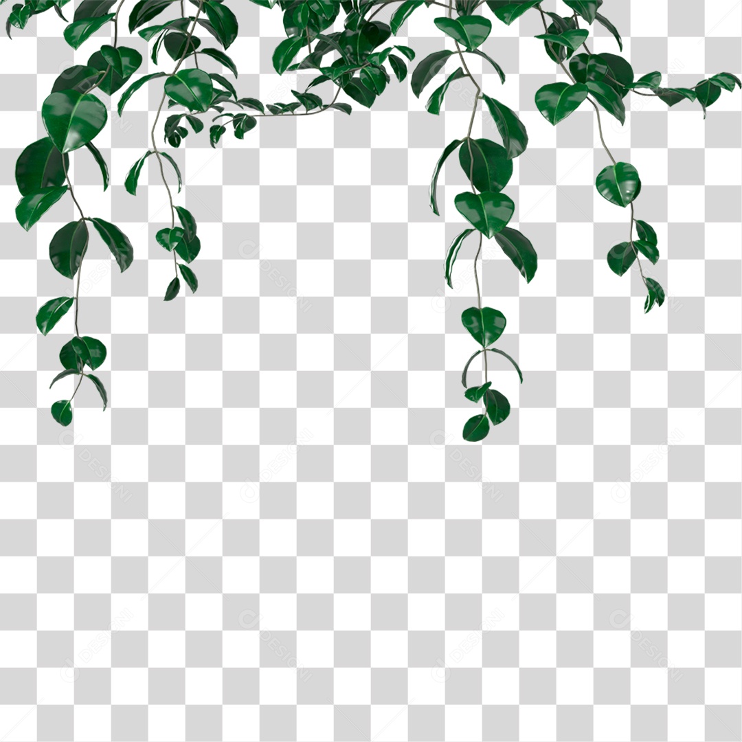 Planta PNG Transparente