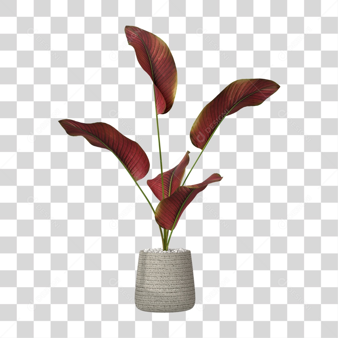 Vazo de Planta PNG Transparente