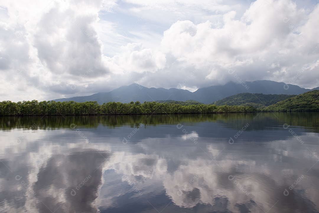 Rio na ilha do Cardoso