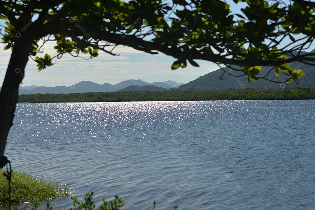 Pôr do sol no rio na ilha do Cardoso