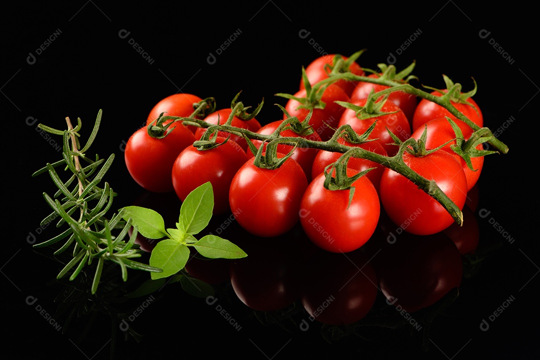 Ramo de tomate, alecrim e manjericão em fundo preto