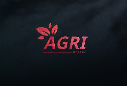 Arquivo