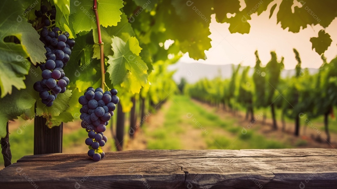Ilustração Taça de vinho em mesa de madeira fundo parreira de uvas