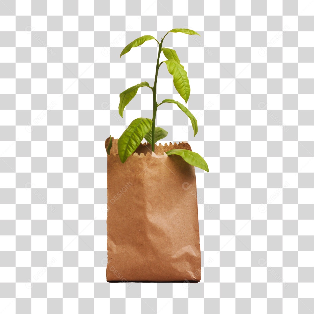 Saco de papel com planta dentro PNG Transparente