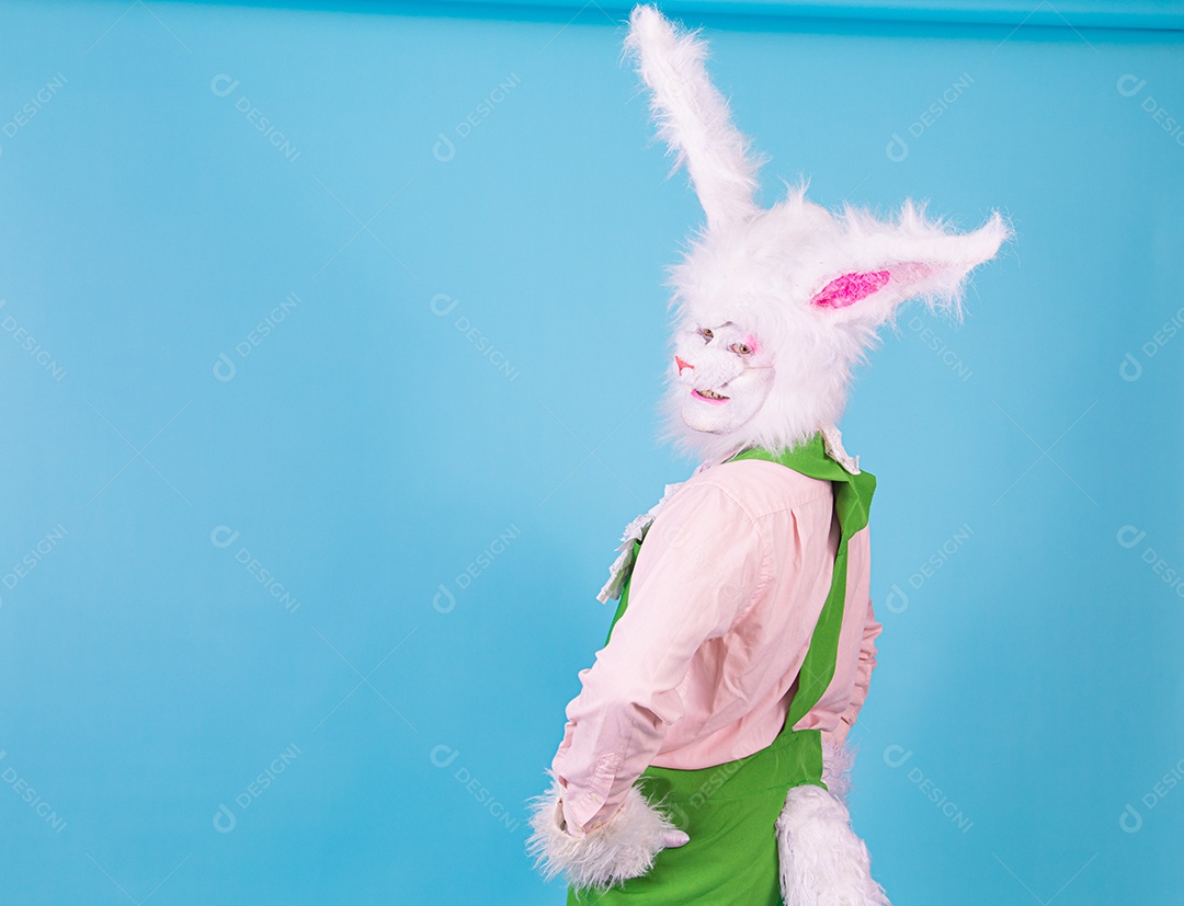 Pessoa fantasiada de coelho da páscoa sobre fundo isolado