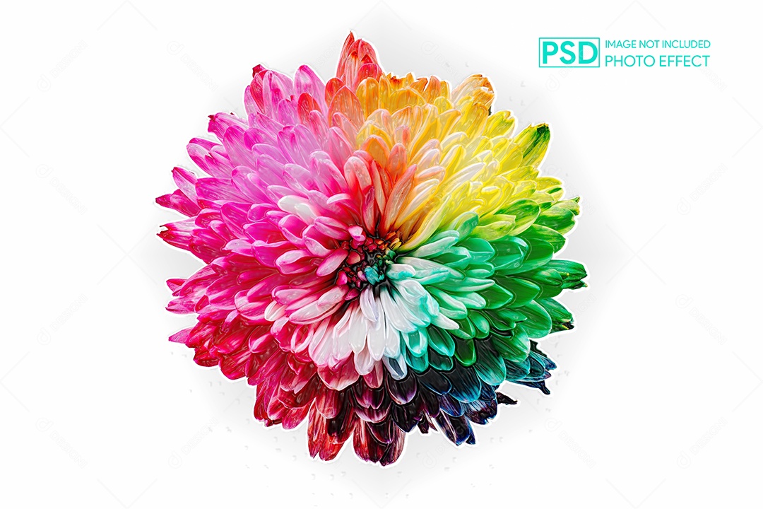 Mockup de Efeito de Foto PSD Editável