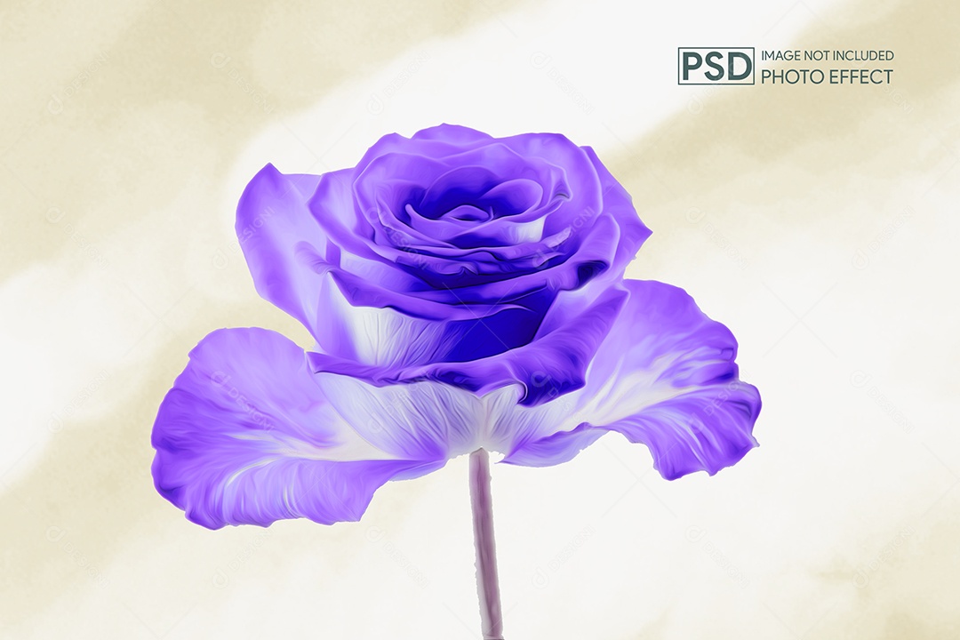 Mockup de Efeito de Foto PSD Editável