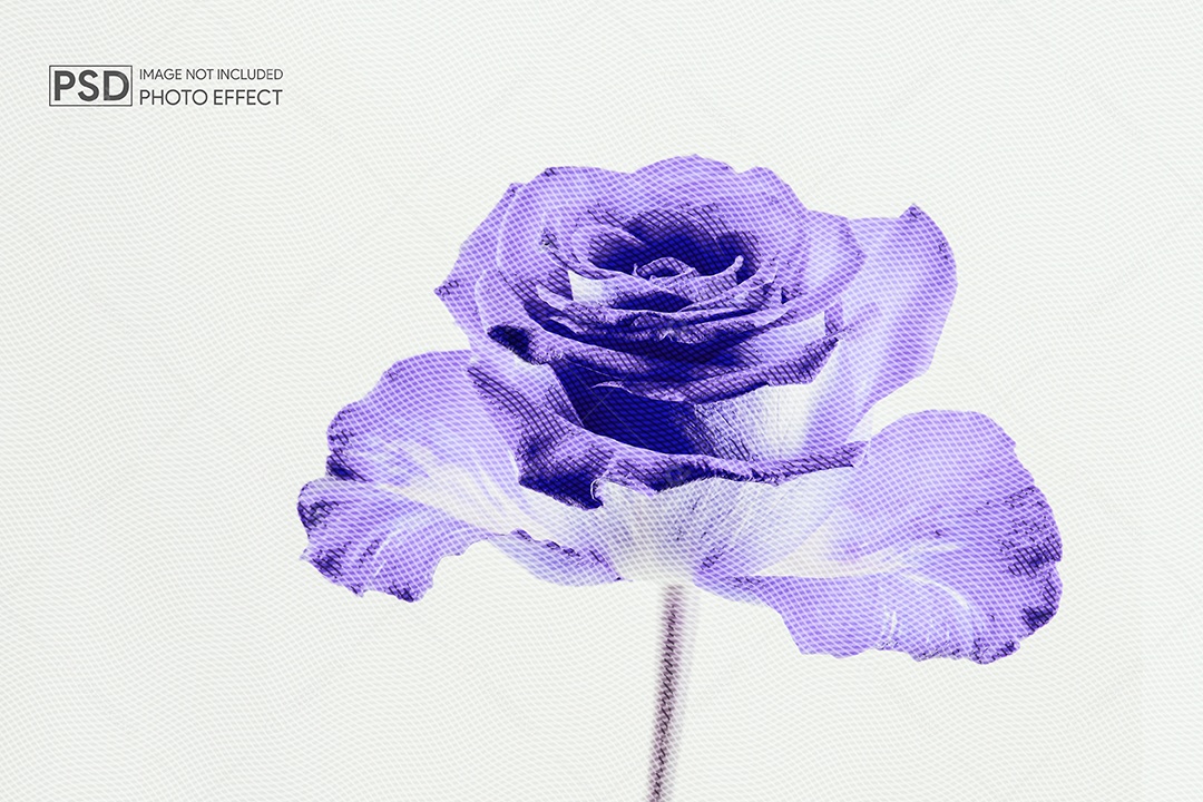 Mockup de Efeito de Foto PSD Editável