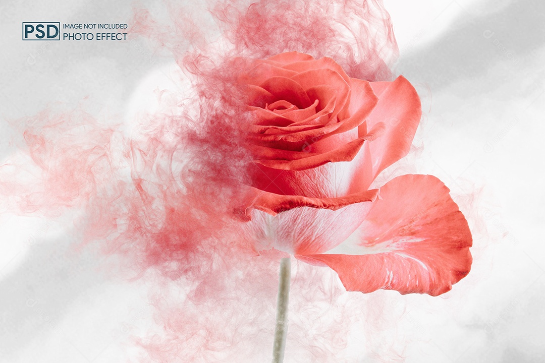 Mockup de Efeito de Foto PSD Editável