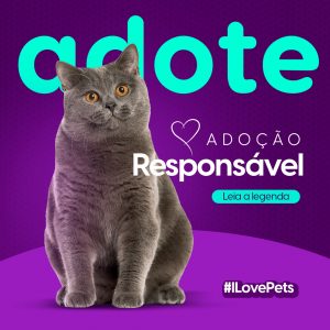 Adoção Responsável Adote Pet Shop Social Media PSD Editável