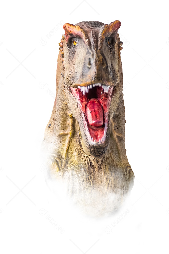 A cabeça de dinossauro em fundo branco