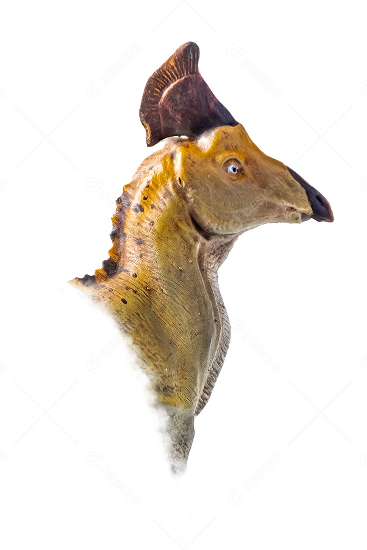 A cabeça de dinossauro em fundo branco