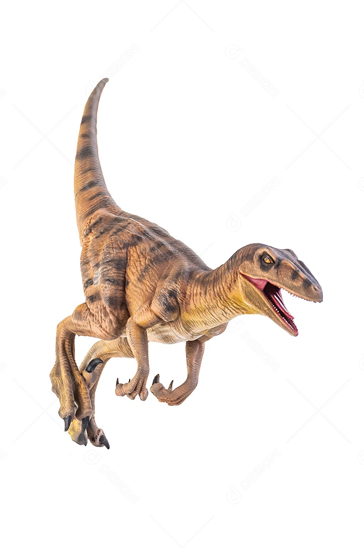Dinossauro em fundo branco