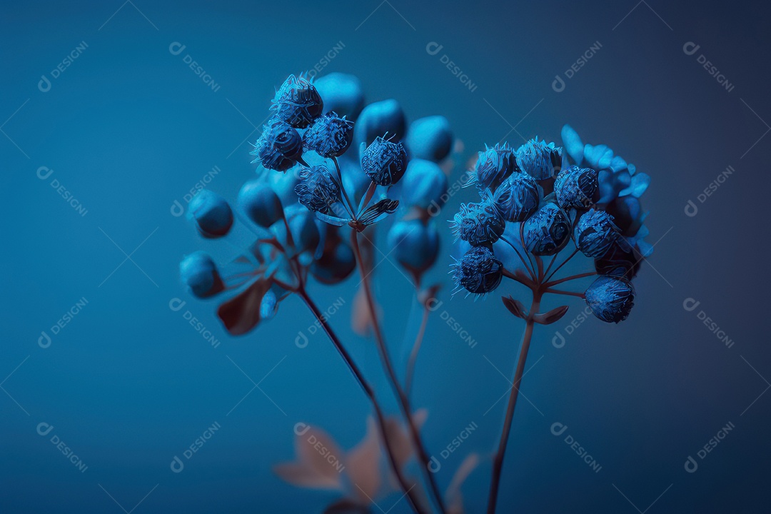 Folhas sobre floresta fundo desfocado.