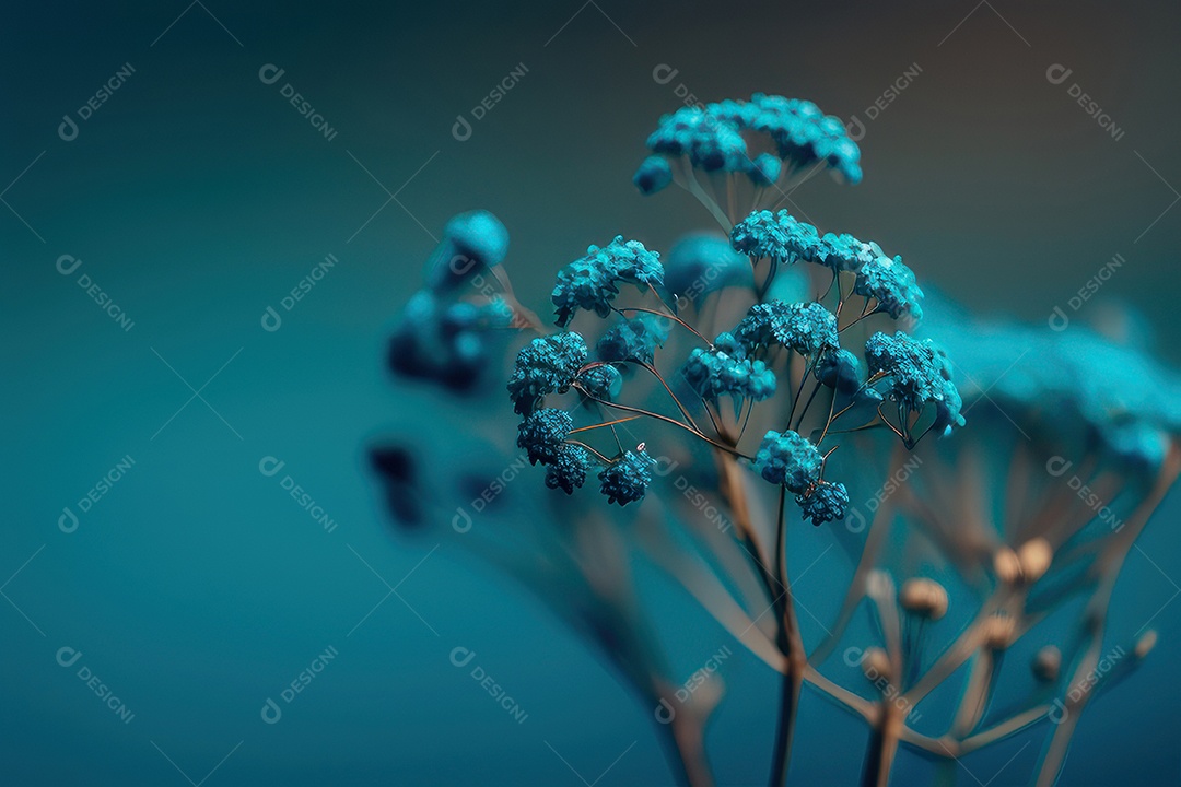 Folhas sobre floresta fundo desfocado.