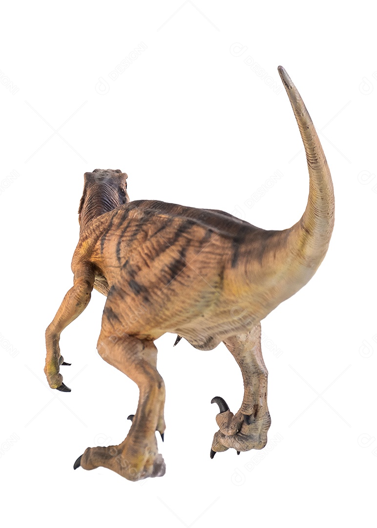 Dinossauro em fundo branco