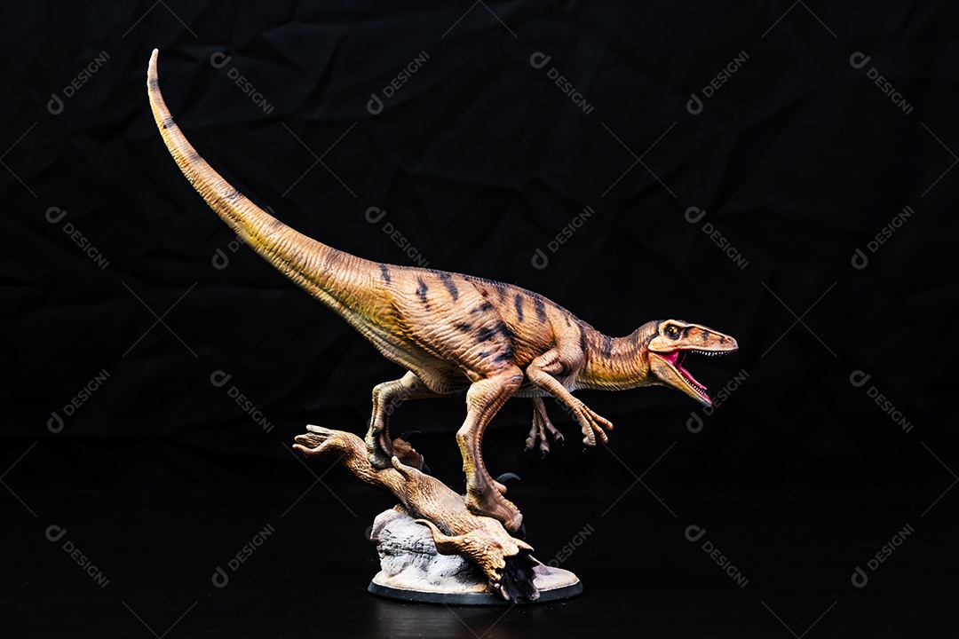 Dinossauro em fundo preto