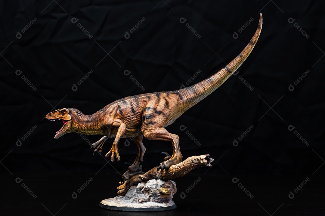 Dinossauro em fundo preto