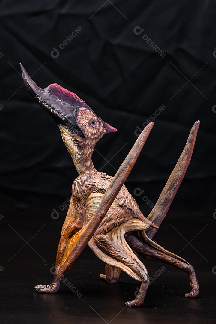 Dinossauro em fundo preto