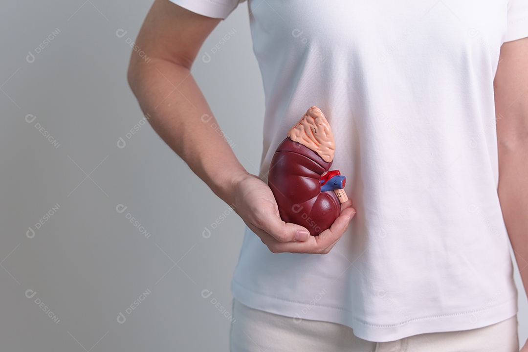 Mulher segurando rim humano anatômico Modo de glândula adrenal