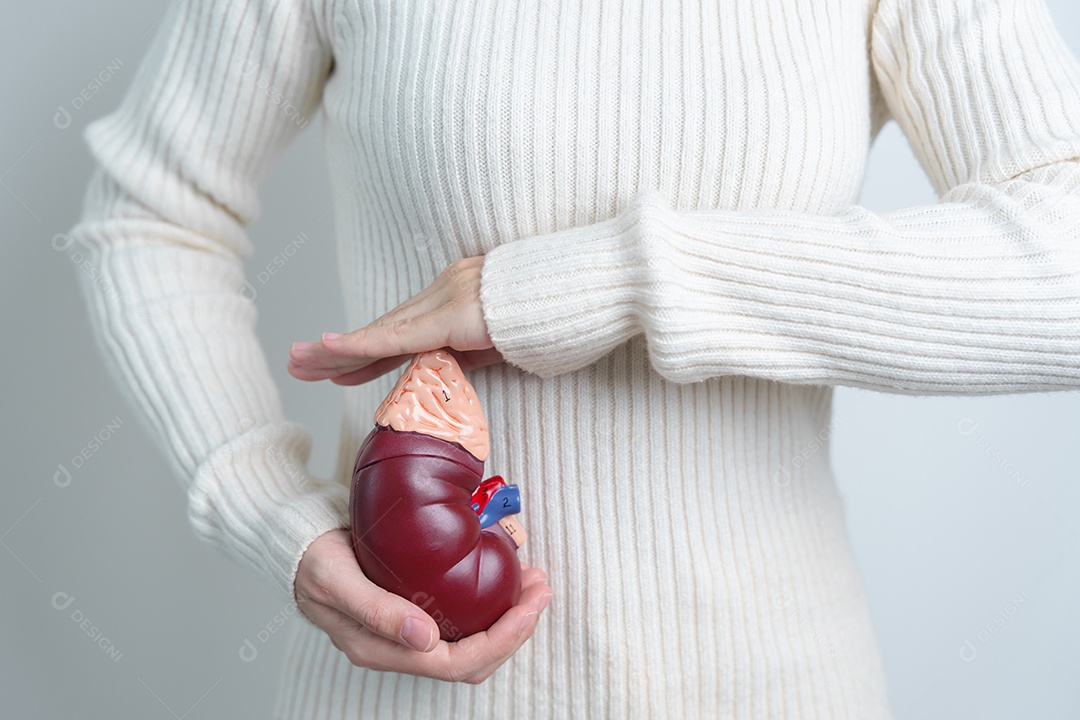 Mulher segurando rim humano anatômico Modo de glândula adrenal