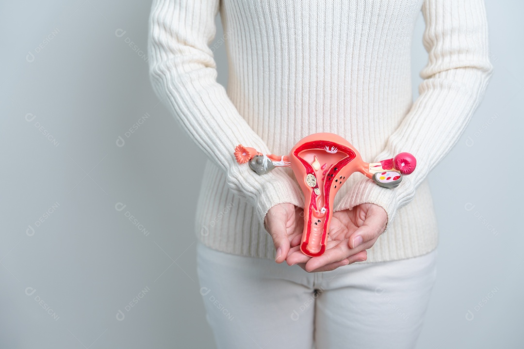 Mulher segurando modelo de útero e ovários.