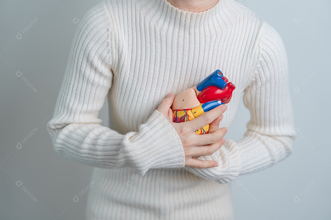 Mulher segurando modelo de coração humano. Doenças Cardiovasculares