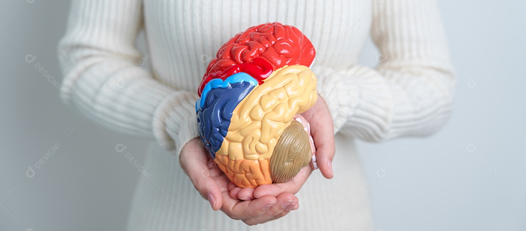 Mulher segurando modelo de cérebro humano. Dia Mundial do Tumor Cerebral