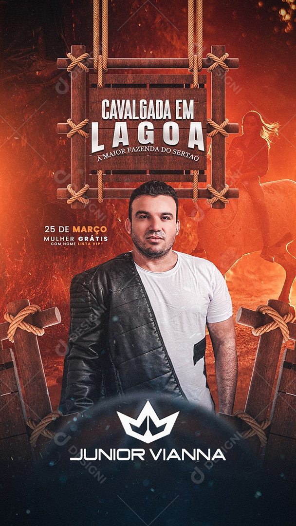 Flyer Show Junior Vianna Story Social Media PSD Editável