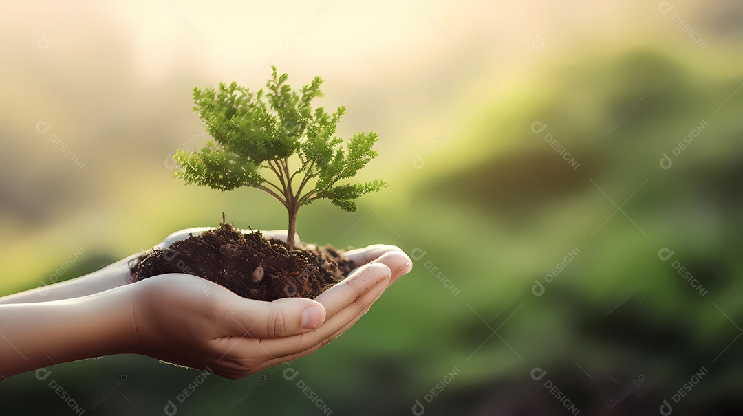 Mão segurando a planta com espaço de cópia. conceito de preservação