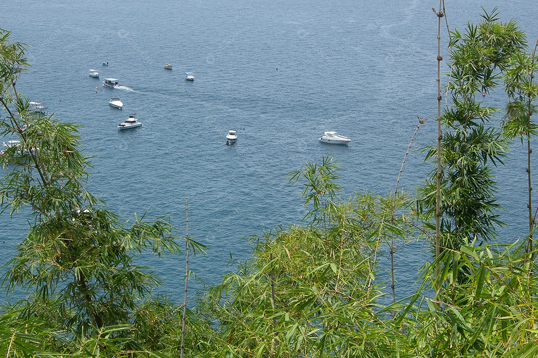 Bela vista da praia tropical cheia de coqueiros e areia do mar
