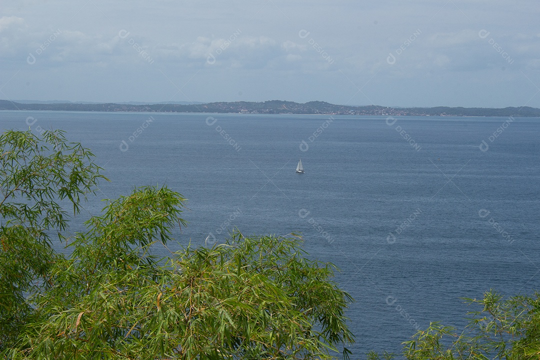Bela vista da praia tropical cheia de coqueiros e areia do mar