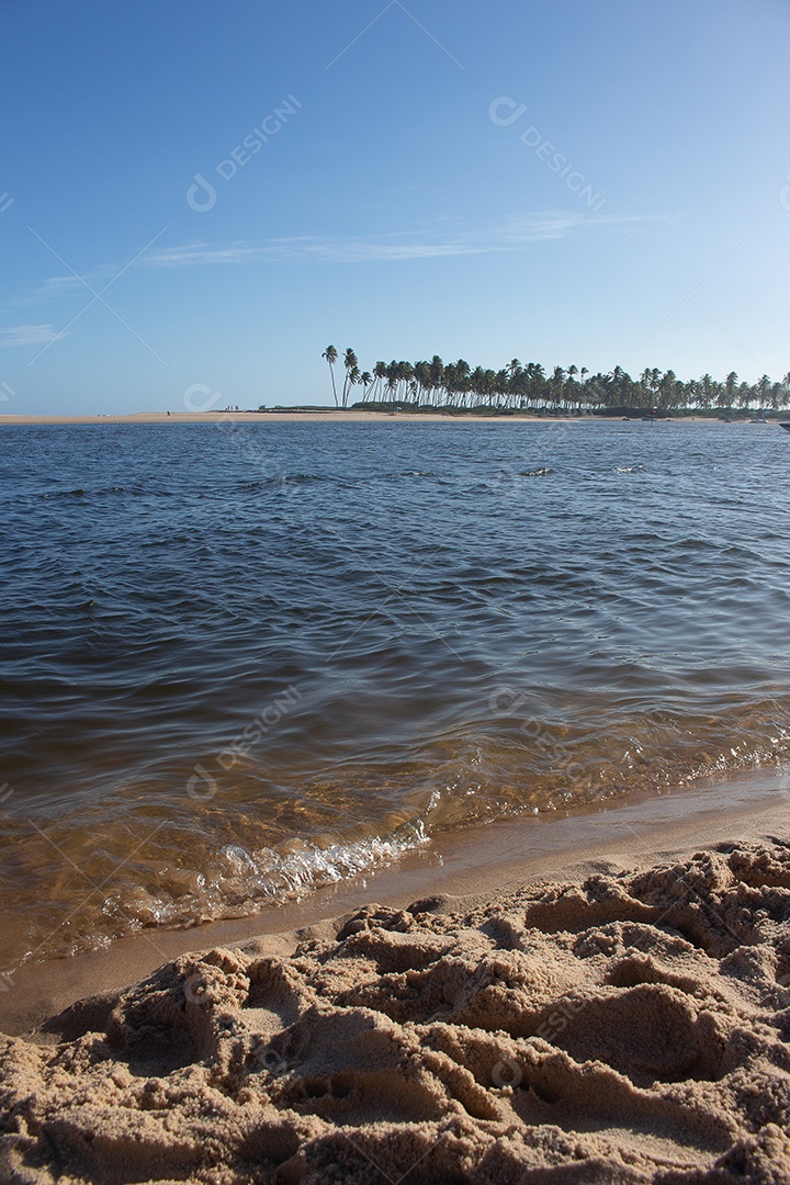 Bela vista da praia tropical cheia de coqueiros e areia do mar