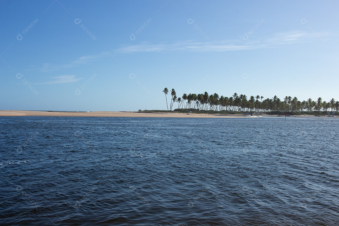 Bela vista da praia tropical cheia de coqueiros e areia do mar