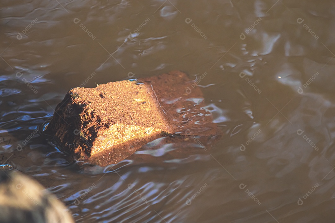 Tijolo dentro de um rio, poluição causada pela humanidade.