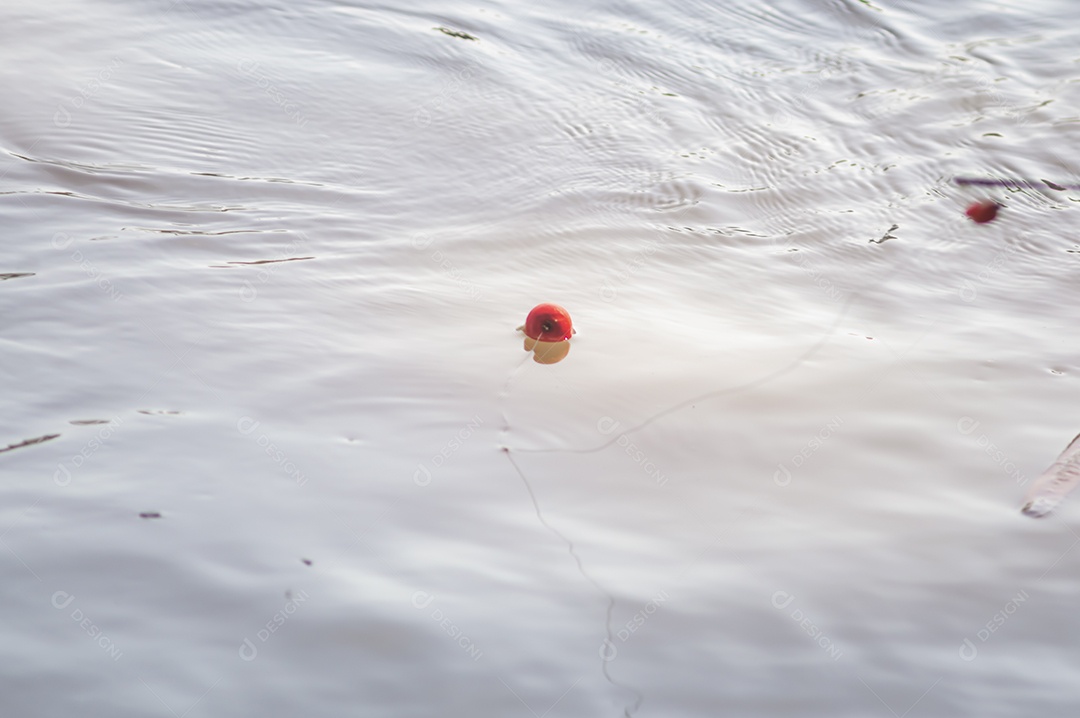 Conceito de pesca com bóia de pesca na água com linha, luz natural.