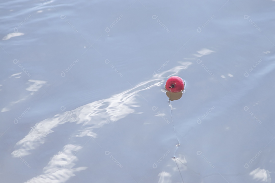 Conceito de pesca com bóia de pesca na água com linha, luz natural.