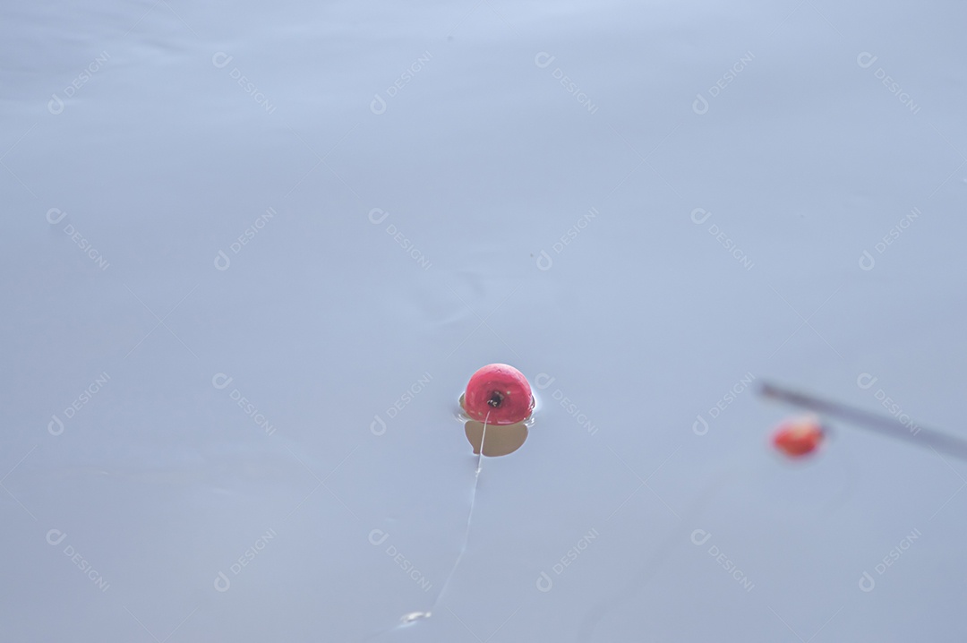 Conceito de pesca com bóia de pesca na água com linha, luz natural.