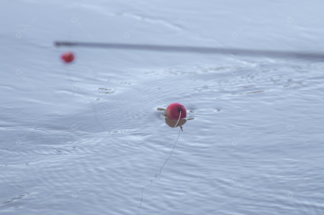 Conceito de pesca com bóia de pesca na água com linha, luz natural.