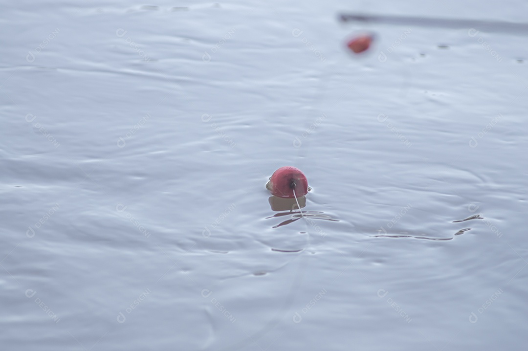 Conceito de pesca com bóia de pesca na água com linha, luz natural.