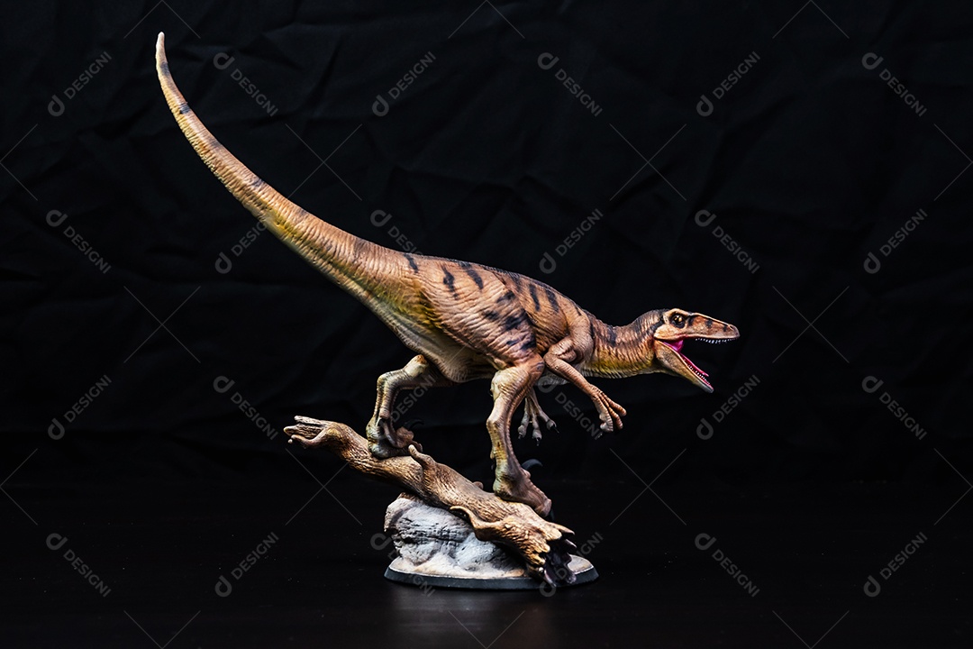 Belo dinossauro sobre fundo escuro isolado