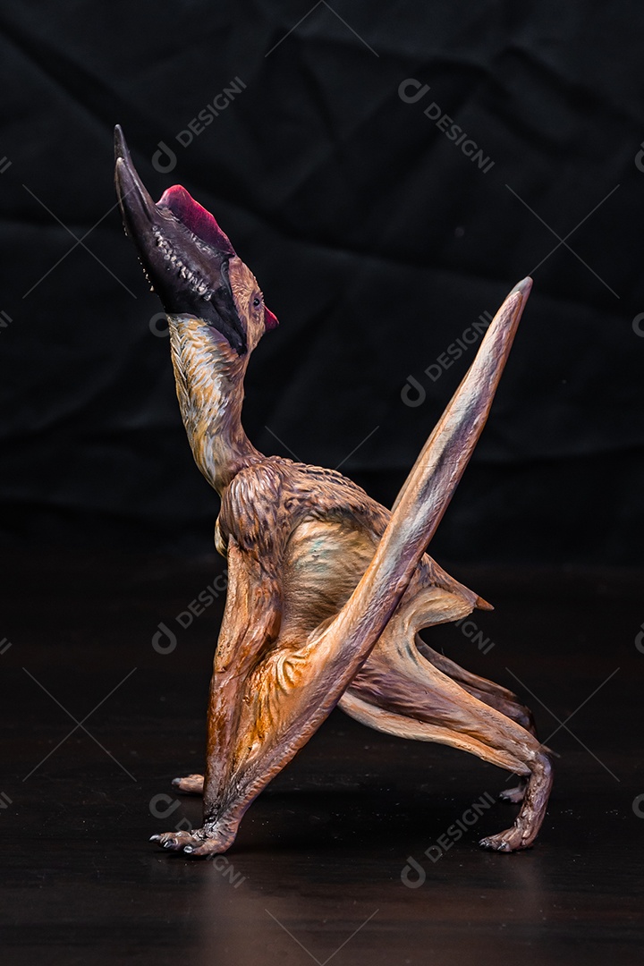 Belo dinossauro sobre fundo isolado